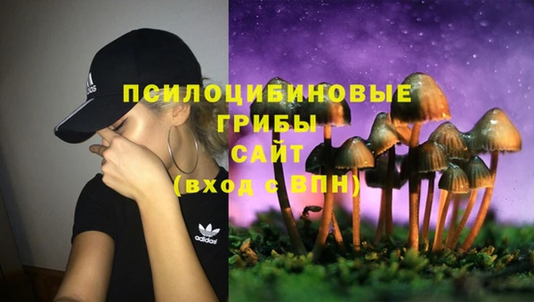стаф Абаза